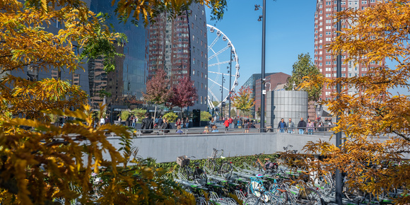 Markthal in de herfst, foto Peter Schmidt