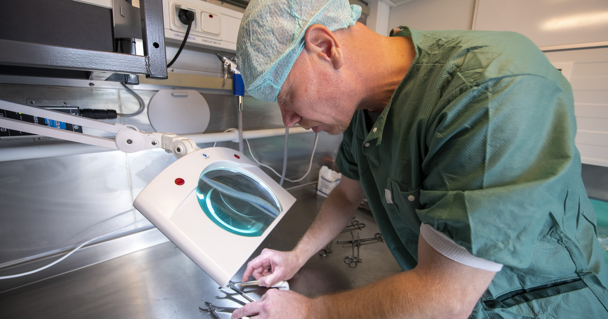 Onderofficier Medewerker Steriele Medische Hulp... | WerkenbijDefensie.nl