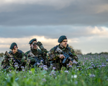 Stagebank Lijst Werkenbijdefensie Nl