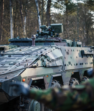 Boxer rijdt door het bos